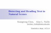 Detecting and Reading Text in Natural Scenesayuille/JHUcourses/VisionAsBayesianInference202… · Detecting and Reading Text in Natural Scenes Xiangrong Chen, Alan L. Yuille {xrchen,