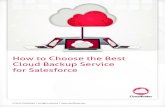 How to Choose the Best Cloud Backup Service for Salesforce · Cloud Backup Service for Salesforce. ... solutions, this paper provides a checklist of relevant questions to ask in order