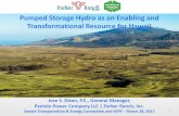 Pumped Storage Hydro as an Enabling and Transformational Resource for …manoa.hawaii.edu/hepf/wp-content/uploads/2018/12/2017... · 2018-12-20 · Pumped Storage Hydro as an Enabling
