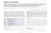 Vaccinium Myrtillus in the Prevention of Renal Injury in ... Ruptured Abdominal Aortic Aneurysm Acute