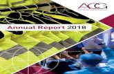 Global Anti-Counterfeiting Network - Annual Report 2018 · ACG is the go-to anti-counterfeiting organisation for brands and is internationally respected for its involvement in fighting