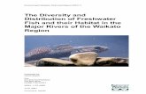 The Diversity and Distribution of Freshwater Fish and ...webcat.niwa.co.nz/documents/EWTR2001_11.pdf · Distribution of Freshwater Fish and their Habitat in the Major Rivers of the