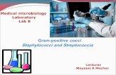 Gram-positive cocci Staphylococci and Streptococciacpha.tu.edu.iq/images/micro_lab_8-gramve_cocci.pdf · Gram-positive cocci, arranged in grape-like clusters Non spore-forming, non