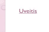 Uveitis - كلية الطب€¦ · UVEITIS • The normal uvea consists of immune competent cells, particularly lymphocytes, and is prone to respond to inflammation by developing