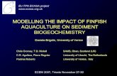 MODELLING THE IMPACT OF FINFISH AQUACULTURE ON SEDIMENT BIOGEOCHEMISTRYdoga.ogs.trieste.it/.../ecem07/RoomC/29Nov/Brigolin_D.pdf · 2007-12-12 · MODELLING THE IMPACT OF FINFISH