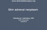 Skin adnexal neoplasm - SUNY Downstate Medical Center neoplasm.pdf · Skin adnexal neoplasms—part 1: An approach to tumours of the pilosebaceous unit. J Clin Pathol 2007;60:129–144.
