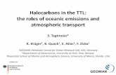 Halocarbons in the TTL: the roles of oceanic emissions and ... · @ 17 km [ppt] 2008-2010 CH 2 Br 2 CHBr 3 Br [ppt] Based on … Inner tropics (10°S-10°N) Tropics (30°S-30°N)