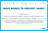 WHAT WORKS TO PREVENT VAWG? - Sexual Violence · x Group educatio n with community outreach (men/boys) x Workshop based interventions to transform masculinities x Collectivisation