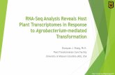 RNA-Seq Analysis Reveals Host Plant Transcriptomes in Response to Agrobacterium ... · 2017-07-05 · RNA-Seq Analysis Reveals Host Plant Transcriptomes in Response to Agrobacterium-mediated
