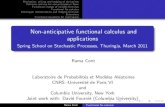 Non-anticipative functional calculus and applications · 2011-03-25 · Functional calculus: horizontal and vertical derivatives. A pathwise change of variable formula for functionals.
