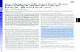 Respecifying human iPSC-derived blood cells into … › content › pnas › early › 2018 › 01 › 26 › ...2018/01/26  · Respecifying human iPSC-derived blood cells into highly