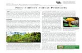 Non-Timber Forest Products - forestry.ca.uky.edu · timber forest products or specialty forest products. Edibles The most common non-timber forest product from woodlands is food or