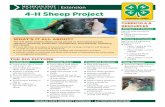 4-H Sheep Project Snapshot - College of Agriculture ... · 4-H Sheep Project FOCUS ON SHEEP Science » Explore sheep behavior; track normal versus abnormal behavior. » Investigate