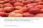 Factors affecting post-harvest management of apples · 5 Factors affecting post-harvest management of apples: a guide to optimising quality 67 Labelling 67 1. Labelling for export