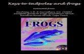 Extracted from: Du Preez, L.H. & Carruthers, V.C. (2009 ... › wp-content › uploads › 2016 › 11 › frogkey.pdfKeys to tadpoles and frogs . Extracted from: Du Preez, L.H. &