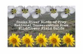 NCA Wildflower Field Guide - Wikimedia...Snake River Birds of Prey National Conservation Area Wildflower Field Guide Producedby: ThayneTuason,Botanist BureauofLandManagement BoiseDistrict
