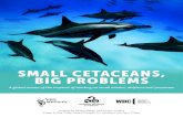 SMALL CETACEANS, BIG PROBLEMS - Animal Welfare Institute · A global review of the impacts of hunting on small whales, dolphins and porpoises A report by Sandra Altherr and Nicola