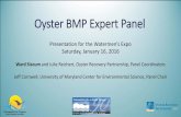 Oyster BMP Expert Panel - University Of Maryland · Oyster BMP Expert Panel Presentation for the Watermen’s Expo . Saturday, January 16, 2016 . Ward Slacum and Julie Reichert, Oyster