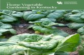 University of Kentucky ID-128 Home Vegetable …...that will thrive under organic management, and pay‑ ing close attention to soil management by adding or‑ ganic matter to your