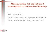 Manipulating fat digestion & absorption to improve efficiency Manipulating fat digestion & absorption