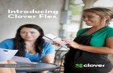 Introducing Clover Flex · Introducing Clover Flex. Lightnin’ Bugs Cafe and Bakery Warm Springs, GA. Introduction. If you’re running a business, chances are you’ve got a lot