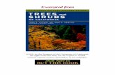 Stuart, Trees & Shrubs - University of California Press · 2015-11-27 · on rankings derived from the California Native Plant Society and federal and state lists (Skinner and Pavlik