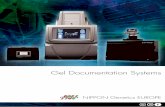 Gel Documentation SystemsUV-light for up to 60 seconds. The PCR product was subsequently isolated and cloned into a control vector, previously double digested with NdeI and HindIII,