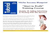 NICHE Niche Success Blueprint SUCCESS BLUEPRINT l …improved Adsense earnings on a niche site, watch this quick 2-minute video. Whether you use Adsense or not, their ... want to increase