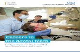 Careers in the dental team · 6 Careers in the dental team Careers in the dental team 7 You could train to be a dentist and run a high street practice, work as a dental hygienist