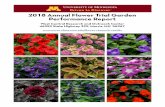 2018 Annual Flower Trial Garden Performance Report › sites › wcroc.cfans.umn.edu › ... · 2018-11-20 · Performance Report West Central Research and Outreach Center ... round.