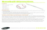 Baseball Dissection - Maryland Science Center › ... › 2018 › 05 › Baseball-Dissection.pdfBaseball Dissection Celebrate opening day by conducting an investigation of an o˜cial