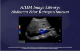 AIUM Image Library · AIUM Image Library: Abdomen &/or Retroperitoneum The American Institute of Ultrasound in Medicine thanks GE for providing equipment used to obtain some of the