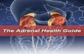 The Adrenal Health Guide - DrJockers.com › wp-content › uploads › 2016 › 10 › AdrenalHeal… · The major problems with adrenal fatigue and its progression into adrenal