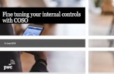Fine tuning your internal controls with COSO › ph › en › assets › documents › 2019 › Fine...PwC Fine tuning your internal controls with COSO 4 Geared to the achievement
