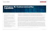 Privacy Cybersecurity Update - Skadden€¦ · by Federal (a Chubb company) under a cybersecurity policy. P.F. Chang’s promptly notified Federal of the incident and sought coverage
