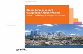 Banking and Capital Markets - PwC...implementation of new IFRS standards, including the area of financial instruments, revenue recognition, impairment, accounting for leasing, pensions,
