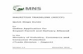 MAURITIUS TRADELINK (MICCP) Quick Steps Guide Online ... › media › 150179 › tradelink-miccp... · Mauritius Network Services Ltd Ver 1.2 Page 12 The only active command control