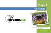 Minibeasts - riverina-e.schools.nsw.gov.au › content › dam › ... · "Minibeast" or "Minibeasts" is a term for a variety of arthropods and other invertebrates, including spiders,