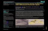 Defining Coronary Artery Perforation with Ultrasound ... · Defining Coronary Artery Perforation with Ultrasound Contrast Agent RV LV A B Figure 1. Coronary angiography and contrast