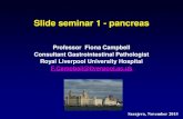 Professor Fiona Campbell Consultant Gastrointestinal ... · Slide seminar 1 - pancreas Professor Fiona Campbell Consultant Gastrointestinal Pathologist Royal Liverpool University