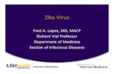 F Lopez Clinical Picture - Emergency Resources Lopez Clinical Picture… · Zika virus infection: • presence of Zika virus RNA or antigen in serum or other samples (e.g. saliva,
