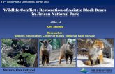 Wildlife Conflict : Restoration of Asiatic Black Bears in Jirisan … · 2015-04-16 · Asiatic black bear, Fox, Goral, Musk deer, Eurasian Lynx, Sea lion, Manchurian sika deer Birds