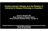 Cerebrovascular Disease and the Relation of Alzheimer's ... · Cerebrovascular Disease and the Relation of Alzheimer's Disease Pathology to Cognition David A. Bennett, MD Rush Alzheimer’s