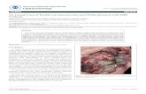 l & E x perimenta l i n ic lp Journal of Clinical ... · Clinicopathological prognostic factors in soft tissue Leiomyosarcoma : a multivariate analysis Histopathology 40: 353-359.