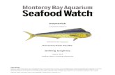 Panama/East Pacific Drifting longlines - Seafood Watch · mahi mahi, they share a similar morphology and coloration (Froese and Pauly 2017). Accordingly, pompano dolphinfish are often