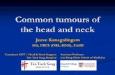 Common tumours of the head and neck - Jeeve Kanagalingam tumours... · Oral cavity tumours Largely SCC Smoking, Spirits, Betel Nut, Sharp Teeth, Syphilis and (Spices) Highly debilitating