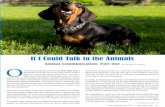 Photo by Ian Dikhtiar, Bigstock If I Could Talk to the Animals · If I Could Talk to the Animals Animal Communication: Part One O ne of the great pleasures of owning Mile High Dog