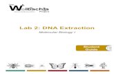 Lab 2: DNA Extraction - Vanderbilt University · LAB 2: DNA EXTRACTION This protocol was adapted and modified for TheWolbachia Project; it is made available under CC-BY-NC-ND. 10