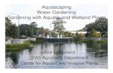Aquascaping Water Gardening Gardening with Aquatic and ... › gardener10... · Aquascaping Water Gardening Gardening with Aquatic and Wetland Plants ... –Nutrient removal • Aesthetics