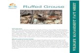 WMFS Ruffed Grouse - Indiana › dnr › fishwild › files › WMFS_Ruffed_Grouse.pdf · habitat types provides the food necessary to sustain a grouse population. Some of the most